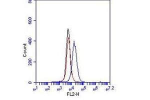 Flow Cytometry (FACS) image for anti-Cadherin 5 (CDH5) (Extracellular Domain) antibody (ABIN1105883) (Cadherin 5 Antikörper  (Extracellular Domain))