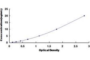 Typical standard curve (COL7A1 ELISA Kit)