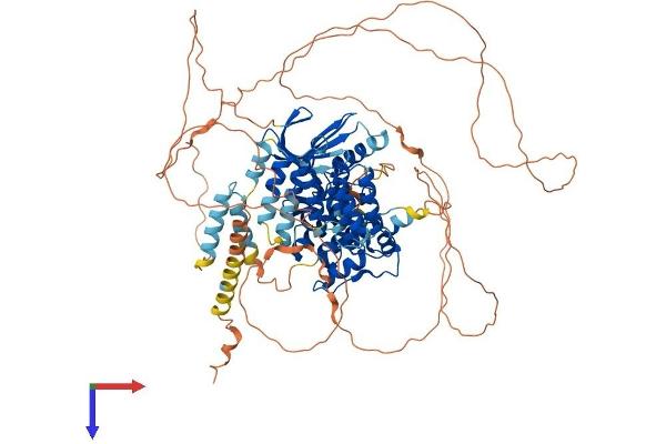 Mps1 Protein (TTK) (AA 1-856) (His tag)