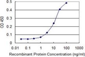 Detection limit for recombinant GST tagged FOXA1 is 1 ng/ml as a capture antibody. (FOXA1 Antikörper  (AA 287-370))
