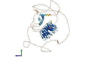 Protein Structure (PS) image for Transducin-Like Enhancer of Split 1 (E(sp1) Homolog, Drosophila) (TLE1) (AA 1-770) protein (His tag) (ABIN7563969)