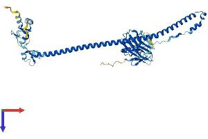 TRIM11 Protein (AA 1-468) (His tag)