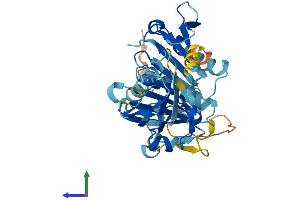 Protein Structure (PS) image for Capping Protein (Actin Filament), Gelsolin-Like (CAPG) (AA 1-352) protein (His tag) (ABIN7562995)