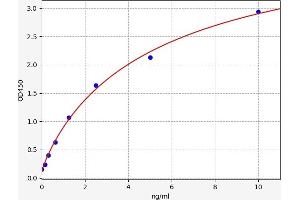 Thioredoxin Reductase 1 (TXNRD1) ELISA Kit