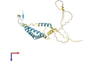 OCIAD1 Protein (AA 1-247) (His tag)