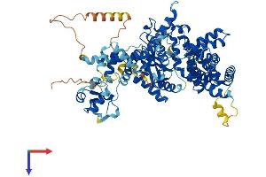 PRKRIR Protein (AA 1-758) (His tag)