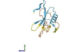 AlphaFold protein structure predicition of Human Recombinant GGNBP1 Protein, UniprotID Q5YKI7