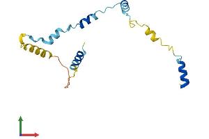 Protein Structure (PS) image for Ribosomal Protein S19 Binding Protein 1 (RPS19BP1) (AA 1-143) protein (His tag) (ABIN7559169)