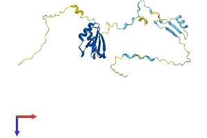 RCAN3 Protein (AA 1-241) (His tag)