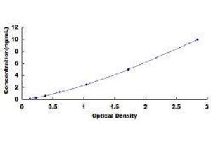 Receptor Tyrosine Kinase-Like Orphan Receptor 1 (ROR1) ELISA Kit