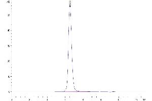 Size-exclusion chromatography-High Pressure Liquid Chromatography (SEC-HPLC) image for B and T Lymphocyte Associated (BTLA) (AA 31-150) protein (Fc Tag) (ABIN7273997)