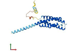 Protein Structure (PS) image for Transmembrane Protein 17 (TMEM17) (AA 1-198) protein (His tag) (ABIN7559446)