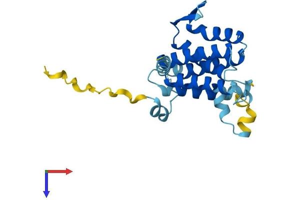 Derlin-3 Protein (AA 1-228) (His tag)