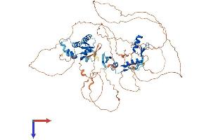ZBTB33 Protein (AA 1-671) (His tag)