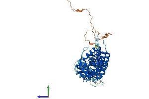 AlphaFold protein structure predicition of Human Recombinant CCT8L1P Protein, UniprotID A6NM43