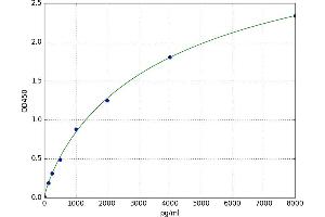 rho-Associated, Coiled-Coil Containing Protein Kinase 1 (ROCK1) ELISA Kit