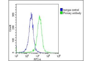 Overlay histogram showing Hela cells stained with (green line).