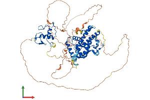 Protein Structure (PS) image for Nuclear Receptor Subfamily 4, Group A, Member 1 (NR4A1) (AA 1-601) protein (His tag) (ABIN7562854)