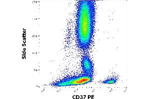 Flow cytometry surface staining pattern of human peripheral whole blood stained using anti-human CD37 (MB-1) PE antibody (10 μL reagent / 100 μL of peripheral whole blood). (CD37 Antikörper  (PE))