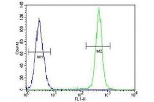 Flow Cytometry (FACS) image for anti-Insulin-Like Growth Factor 1 (IGF1) (AA 115-144) antibody (ABIN3031342)