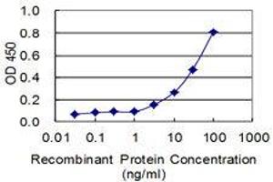 Detection limit for recombinant GST tagged MIPEP is 1 ng/mL as a capture antibody. (MIPEP Antikörper  (AA 611-713))