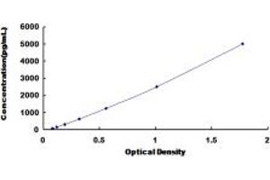 Typical standard curve (HSPG2 ELISA Kit)