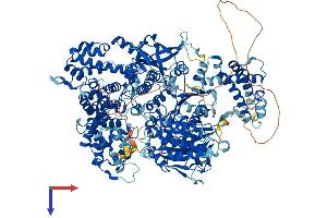 AQR Protein (AA 1-1481) (His tag)