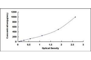 Typical standard curve (IL12B ELISA Kit)