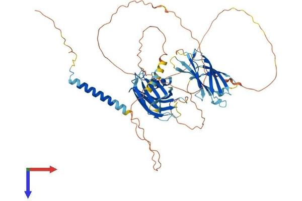 SYT14 Protein (AA 1-555) (His tag)