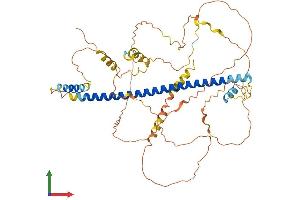 Protein Structure (PS) image for CAMP Responsive Element Binding Protein 3-Like 2 (CREB3L2) (AA 1-521) protein (His tag) (ABIN7564351)