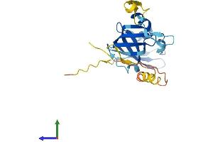 AlphaFold protein structure predicition of Human Recombinant ARPIN Protein, UniprotID Q7Z6K5 (ARPIN Protein (AA 1-226) (His tag))