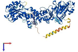 RHOT1 Protein (AA 1-631) (His tag)