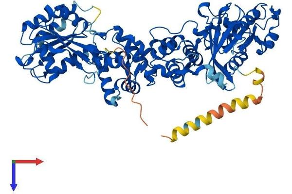 RHOT1 Protein (AA 1-631) (His tag)