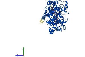 Protein Structure (PS) image for Protein Geranylgeranyltransferase Type I, beta Subunit (PGGT1B) (AA 1-377) protein (His tag) (ABIN7558910)
