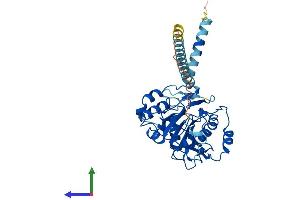 Protein Structure (PS) image for UDP-Gal:betaGlcNAc beta 1,4- Galactosyltransferase, Polypeptide 5 (B4GALT5) (AA 1-388) protein (His tag) (ABIN7552551)