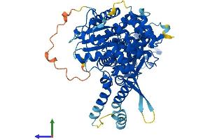 Protein Structure (PS) image for Syntaxin Binding Protein 1 (STXBP1) (AA 1-594) protein (His tag) (ABIN7562177)