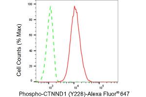 Flow cytometric analysis of Phospho-CTNND1 (Y228) expression in C2C12 cells using Phospho-CTNND1 (Y228) antibody (ABIN7797935), 1:2,000).