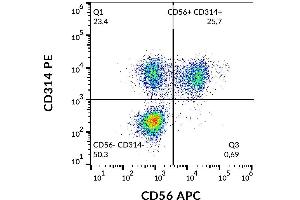 Flow Cytometry (FACS) image for anti-Killer Cell Lectin-Like Receptor Subfamily K, Member 1 (KLRK1) antibody (PE) (ABIN2749125)