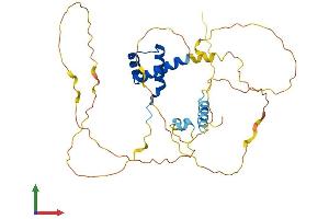 Protein Structure (PS) image for Retina and Anterior Neural Fold Homeobox (RAX) (AA 1-342) protein (His tag) (ABIN7562339)