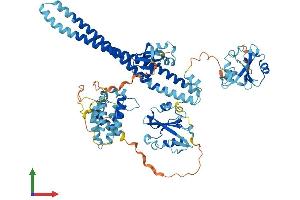 Protein Structure (PS) image for Phosphoinositide 3 Kinase, p85 beta (PI3K p85b) (AA 1-722) protein (His tag) (ABIN7562222)