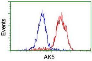 Flow cytometric Analysis of Hela cells, using anti-AK5 antibody (ABIN2453862), (Red), compared to a nonspecific negative control antibody, (Blue). (Adenylate Kinase 5 Antikörper)