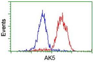 Flow cytometric Analysis of Hela cells, using anti-AK5 antibody (ABIN2453862), (Red), compared to a nonspecific negative control antibody, (Blue). (Adenylate Kinase 5 Antikörper)