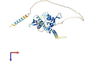 MAGEB1 Protein (AA 1-347) (His tag)