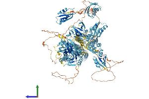 Protein Structure (PS) image for ATPase, Cu++ Transporting, beta Polypeptide (ATP7B) (AA 1-1465) protein (His tag) (ABIN7552518)