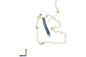 Protein Structure (PS) image for TCF3 (E2A) Fusion Partner (In Childhood Leukemia) (TFPT) (AA 1-259) protein (His tag) (ABIN7557127)