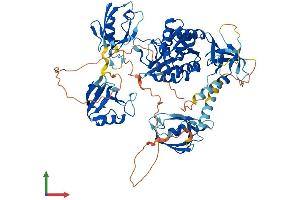 AlphaFold protein structure predicition of Mouse Recombinant Dlg4 Protein, UniprotID Q62108