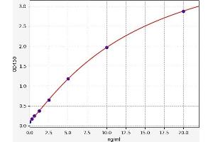 c-MYC ELISA Kit