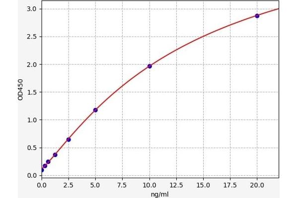 c-MYC ELISA Kit