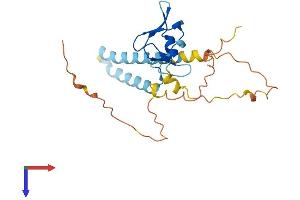 AlphaFold protein structure predicition of Mouse Recombinant Rnf186 Protein, UniprotID Q9D241