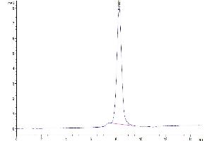 Size-exclusion chromatography-High Pressure Liquid Chromatography (SEC-HPLC) image for CD160 (CD160) (AA 25-158) protein (Fc Tag) (ABIN7274073)